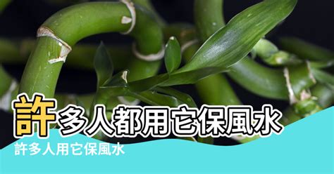 為什麼家裡不能種杜鵑